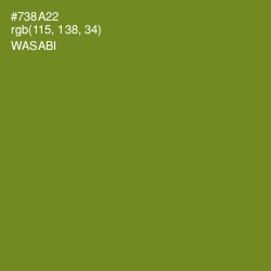 #738A22 - Wasabi Color Image