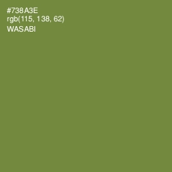 #738A3E - Wasabi Color Image