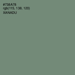 #738A78 - Xanadu Color Image