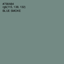 #738A84 - Blue Smoke Color Image