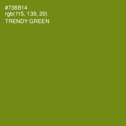 #738B14 - Trendy Green Color Image