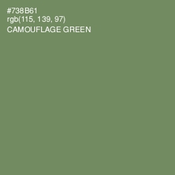 #738B61 - Camouflage Green Color Image