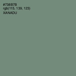 #738B7B - Xanadu Color Image