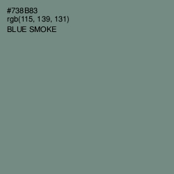 #738B83 - Blue Smoke Color Image