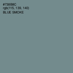 #738B8C - Blue Smoke Color Image