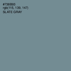#738B93 - Slate Gray Color Image