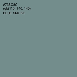 #738C8C - Blue Smoke Color Image