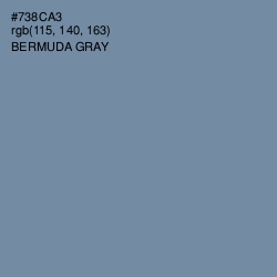 #738CA3 - Bermuda Gray Color Image