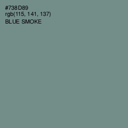 #738D89 - Blue Smoke Color Image