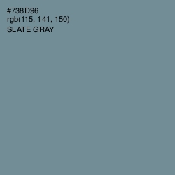 #738D96 - Slate Gray Color Image