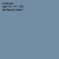 #738DA5 - Bermuda Gray Color Image