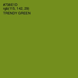 #738E1D - Trendy Green Color Image