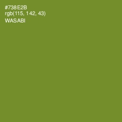 #738E2B - Wasabi Color Image