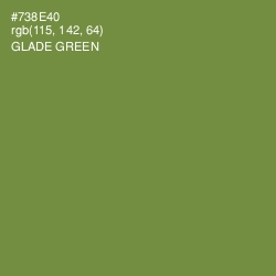 #738E40 - Glade Green Color Image