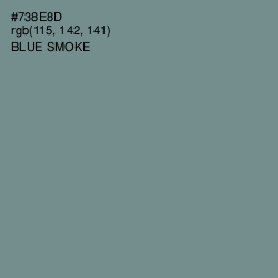 #738E8D - Blue Smoke Color Image