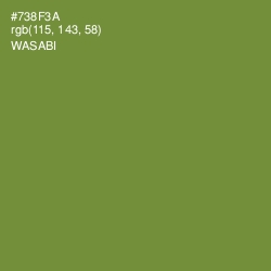 #738F3A - Wasabi Color Image