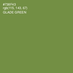#738F43 - Glade Green Color Image
