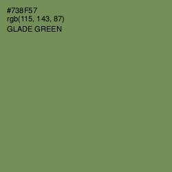 #738F57 - Glade Green Color Image