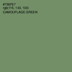 #738F67 - Camouflage Green Color Image
