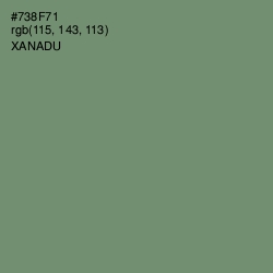 #738F71 - Xanadu Color Image