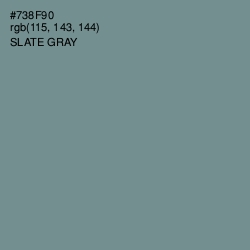 #738F90 - Slate Gray Color Image