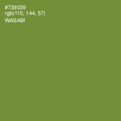 #739039 - Wasabi Color Image