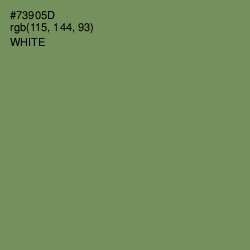 #73905D - Glade Green Color Image