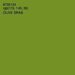 #739124 - Olive Drab Color Image