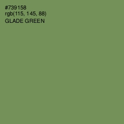 #739158 - Glade Green Color Image