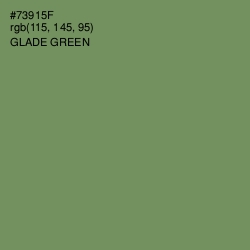 #73915F - Glade Green Color Image