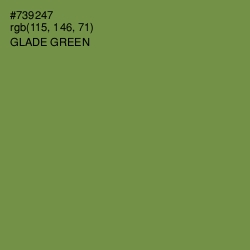 #739247 - Glade Green Color Image