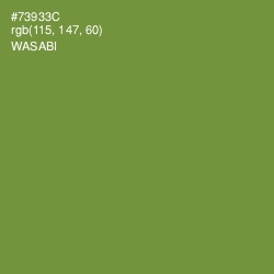 #73933C - Wasabi Color Image