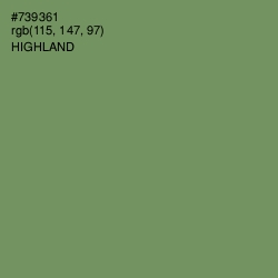 #739361 - Highland Color Image