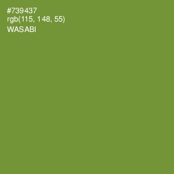 #739437 - Wasabi Color Image