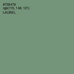 #739479 - Laurel Color Image