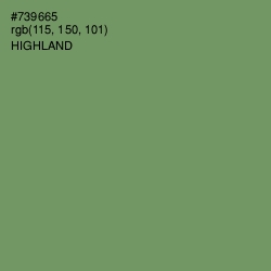 #739665 - Highland Color Image