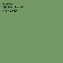 #739863 - Highland Color Image