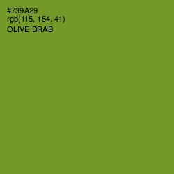 #739A29 - Olive Drab Color Image