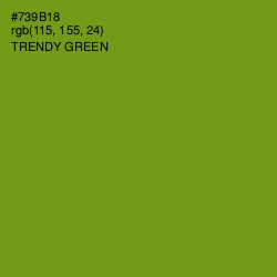 #739B18 - Trendy Green Color Image