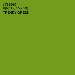 #739B1C - Trendy Green Color Image