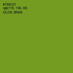 #739C21 - Olive Drab Color Image