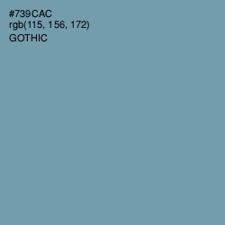 #739CAC - Gothic Color Image