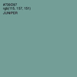 #739D97 - Juniper Color Image