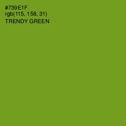 #739E1F - Trendy Green Color Image