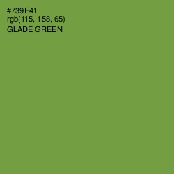 #739E41 - Glade Green Color Image