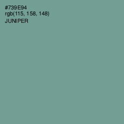 #739E94 - Juniper Color Image