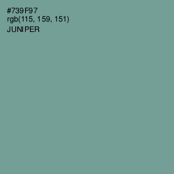 #739F97 - Juniper Color Image