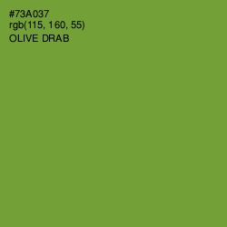 #73A037 - Olive Drab Color Image