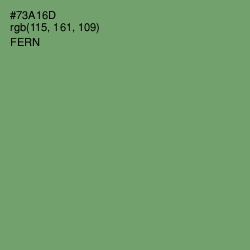 #73A16D - Fern Color Image