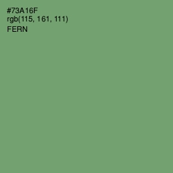 #73A16F - Fern Color Image